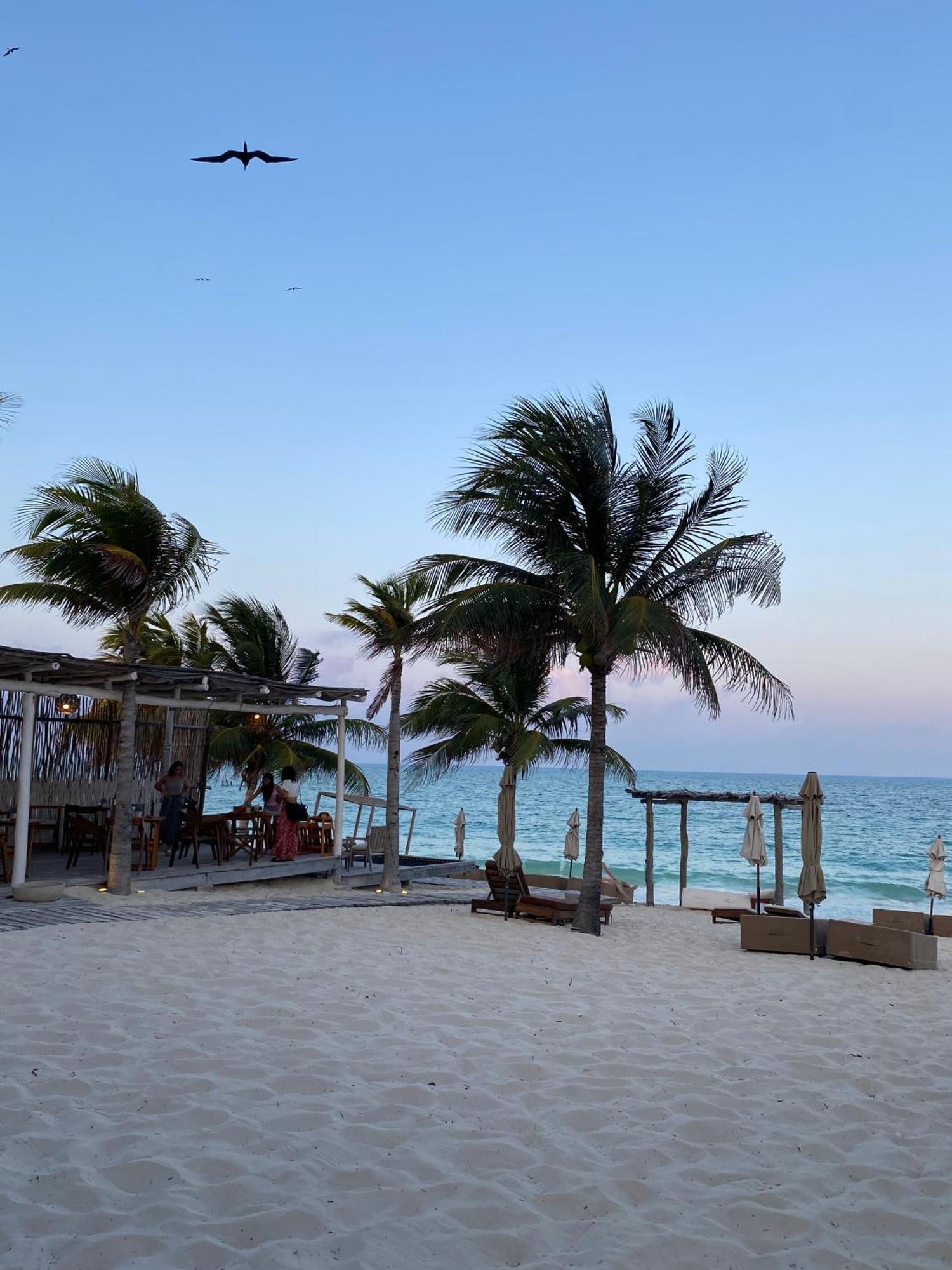Punta Blanca Beach House Cancún Eksteriør bilde